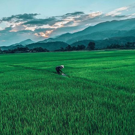 Hoi An Paddy House Homestay エクステリア 写真