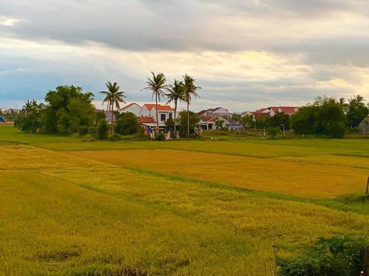 Hoi An Paddy House Homestay エクステリア 写真