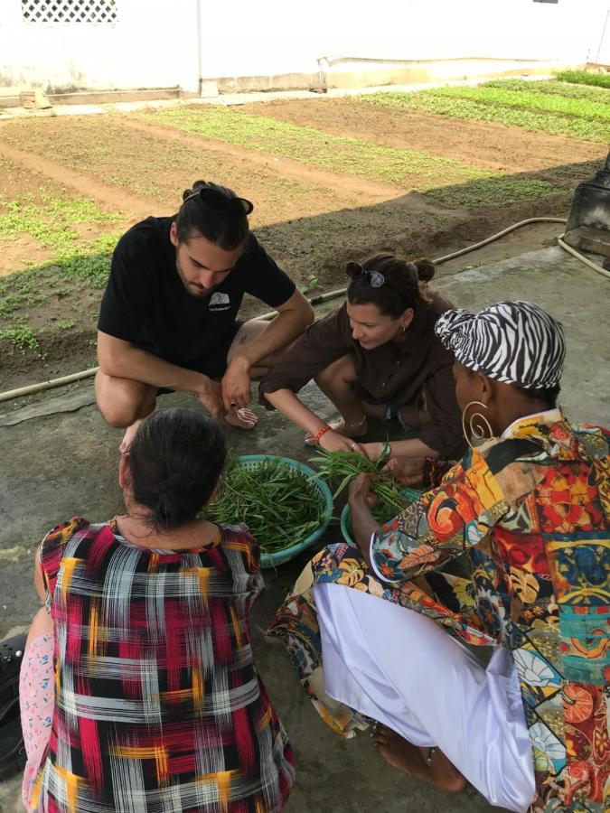 Hoi An Paddy House Homestay エクステリア 写真